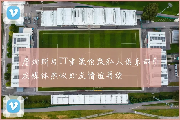 詹姆斯与TT重聚伦敦私人俱乐部引发媒体热议好友情谊再续