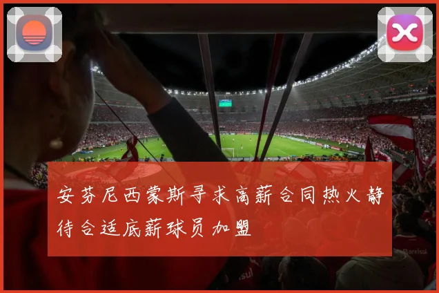 安芬尼西蒙斯寻求高薪合同热火静待合适底薪球员加盟